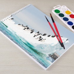 Альбом для рисования Пингвины на айсберге - фото 2