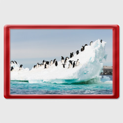 Магнит 45*70 Пингвины на айсберге