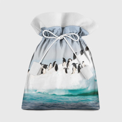 Подарочный 3D мешок Пингвины на айсберге