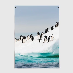 Постер Пингвины на айсберге