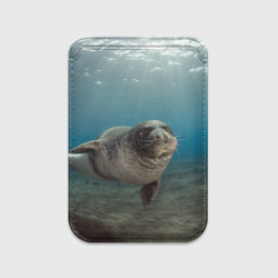 Картхолдер Magsafe магнитный Тюлень под водой