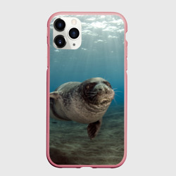Чехол для iPhone 11 Pro Max матовый Тюлень под водой