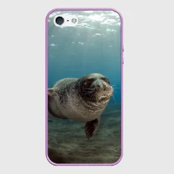 Чехол для iPhone 5/5S матовый Тюлень под водой