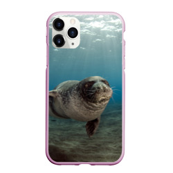 Чехол для iPhone 11 Pro Max матовый Тюлень под водой