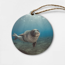 Деревянная игрушка круг Тюлень под водой