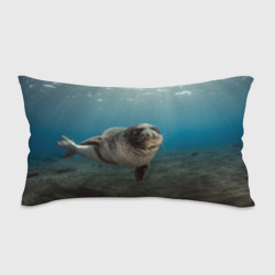 Подушка 3D антистресс Тюлень под водой