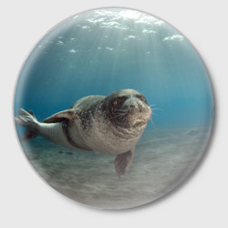 Значок Тюлень под водой