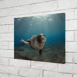 Холст прямоугольный Тюлень под водой - фото 2