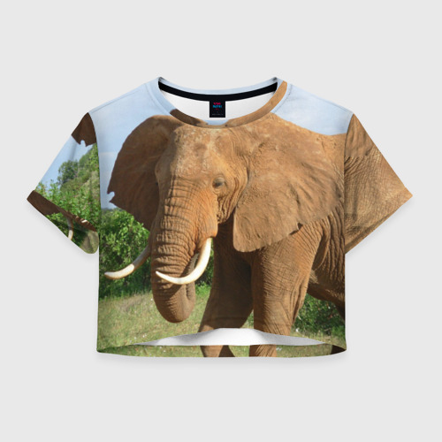 Женская футболка Crop-top 3D Слон, цвет 3D печать