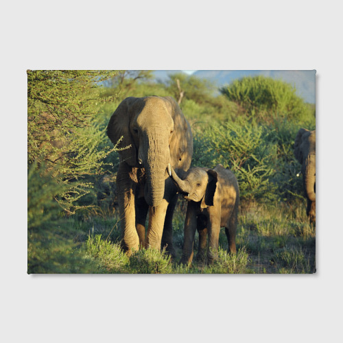 Холст прямоугольный Слониха и слоненок в природе, цвет 3D печать - фото 2