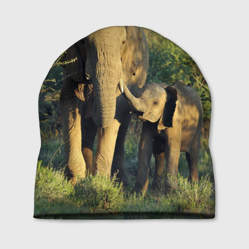 Шапка 3D Слониха и слоненок в природе