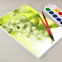 Альбом для рисования Цветы яблони - фото 2