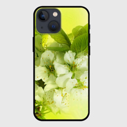 Чехол для iPhone 13 mini Цветы яблони