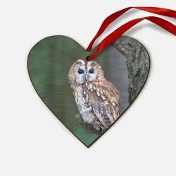 Деревянная игрушка Сердце Сова