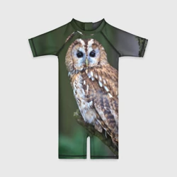 Детский купальный костюм 3D Сова