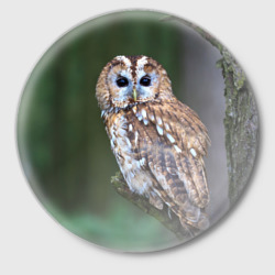 Значок Сова