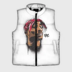 Мужской жилет утепленный 3D 2Pac