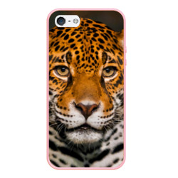 Чехол для iPhone 5/5S матовый Jaguar