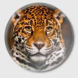 Значок Jaguar