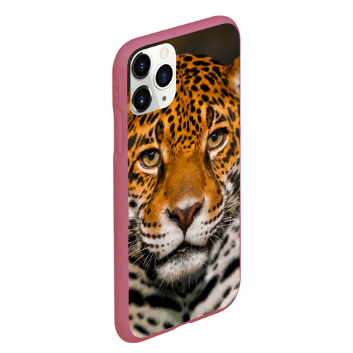 Чехол для iPhone 11 Pro Max матовый Jaguar, цвет малиновый - фото 3