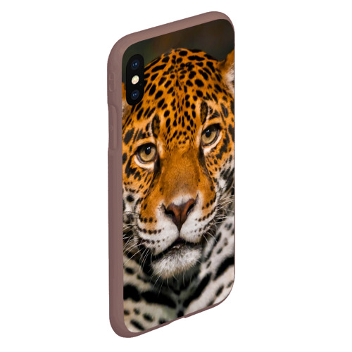 Чехол для iPhone XS Max матовый Jaguar, цвет коричневый - фото 3
