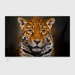 Флаг 3D Jaguar