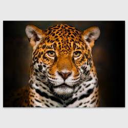 Поздравительная открытка Jaguar