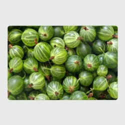 Магнитный плакат 3Х2 Крыжовник