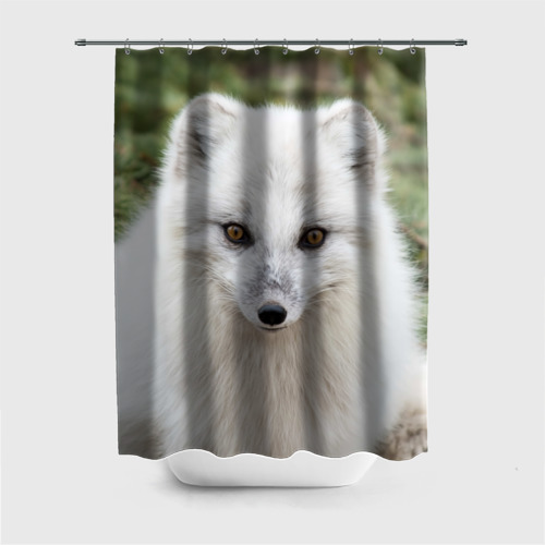 Private fox. White Fox штора для ванной. White Fox модель. White Fox 288. Воображение White Fox.