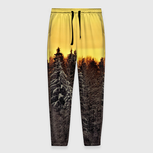 Мужские брюки 3D Русский лес, цвет 3D печать