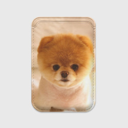 Картхолдер Magsafe магнитный Пушистик