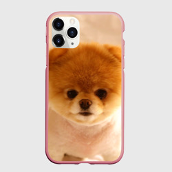 Чехол для iPhone 11 Pro Max матовый Пушистик