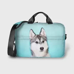 Сумка для ноутбука 3D Blue
