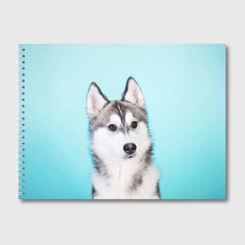 Альбом для рисования Blue