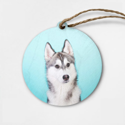 Деревянная игрушка круг Blue