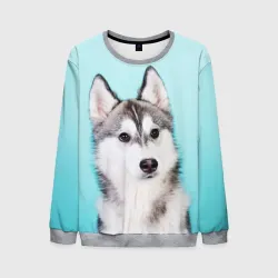 Мужской свитшот 3D Blue