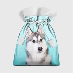 Подарочный 3D мешок Blue