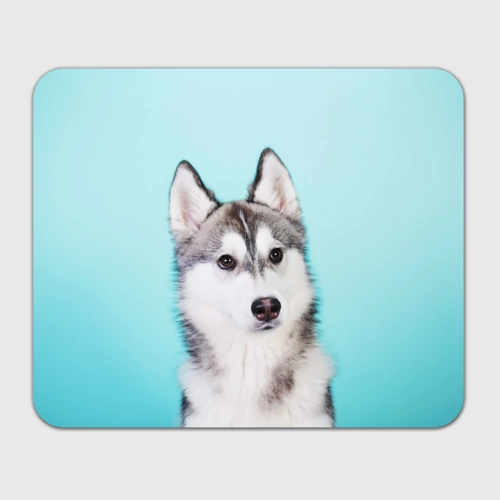 Прямоугольный коврик для мышки Blue