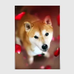 Постер Love