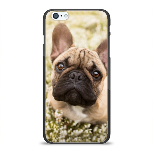 Чехол для Apple iPhone 6Plus/6SPlus силиконовый глянцевый Flowers Фото 01 Чехол для Apple iPhone 6Plus/6SPlus силиконовый глянцевый Flowers Фото 01