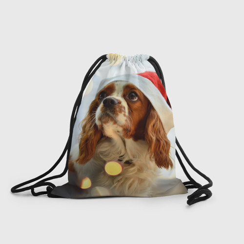 Рюкзак-мешок 3D Рождество