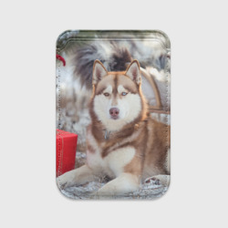 Картхолдер Magsafe магнитный Хаски