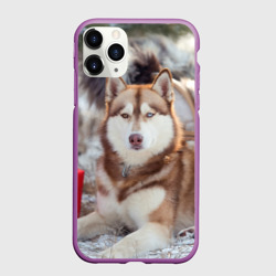 Чехол для iPhone 11 Pro матовый Хаски