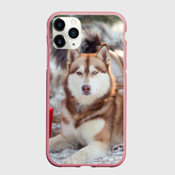 Чехол для iPhone 11 Pro Max матовый Хаски