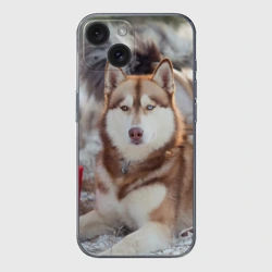 Чехол для iPhone 15 силиконовый с защитой камеры Хаски