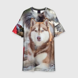 Детское платье 3D Хаски