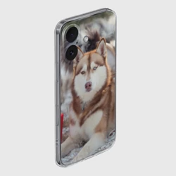 Чехол для iPhone 16 силиконовый с защитой камеры Хаски - фото 2