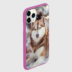 Чехол для iPhone 11 Pro матовый Хаски - фото 2
