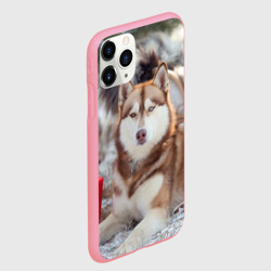 Чехол для iPhone 11 Pro Max матовый Хаски - фото 2