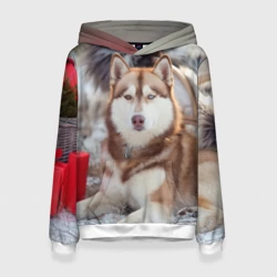 Женская толстовка 3D Хаски